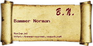 Bammer Norman névjegykártya